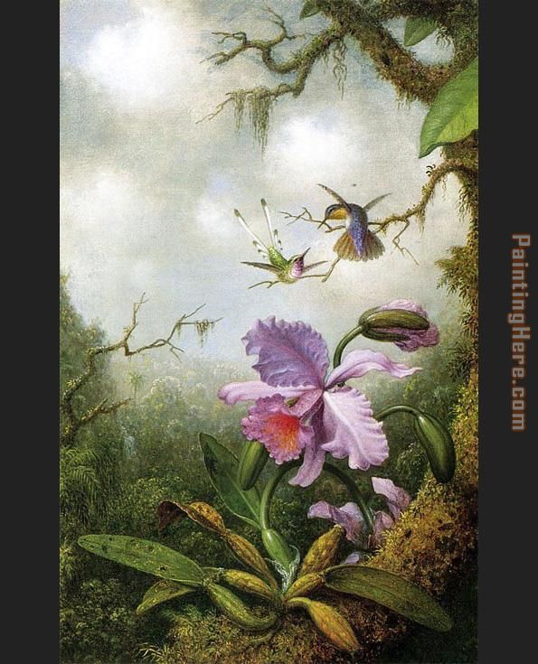 Two Hummingbirds with a Pink Orchid painting - Martin Johnson Heade Two Hummingbirds with a Pink Orchid art painting